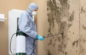 Best Forensic Mold Investigation  in Largo, FL